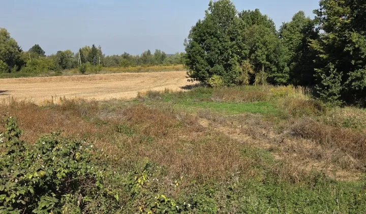 Działka rekreacyjna Rakowice Wielkie