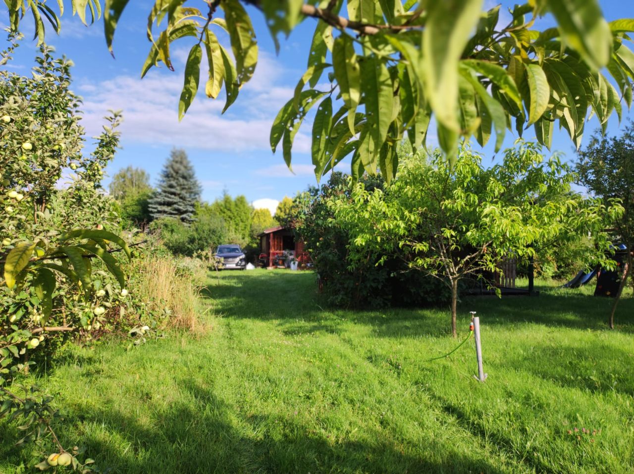 Działka rekreacyjna Drzewce