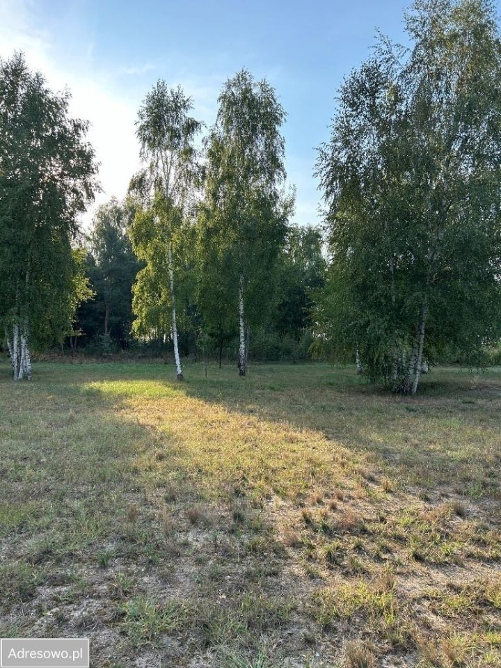 Działka inna Sufczyn. Zdjęcie 6