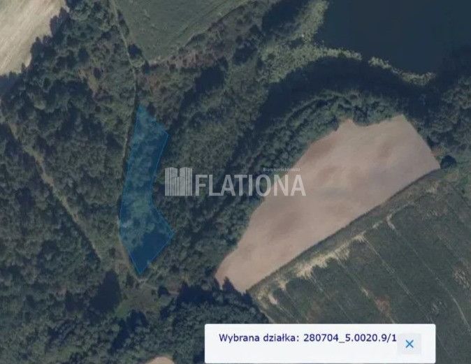 Działka rolna Wałdowo. Zdjęcie 6