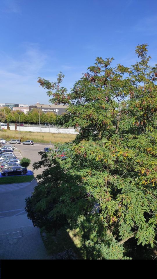 Mieszkanie 3-pokojowe Poznań Rataje, os. Oświecenia. Zdjęcie 12
