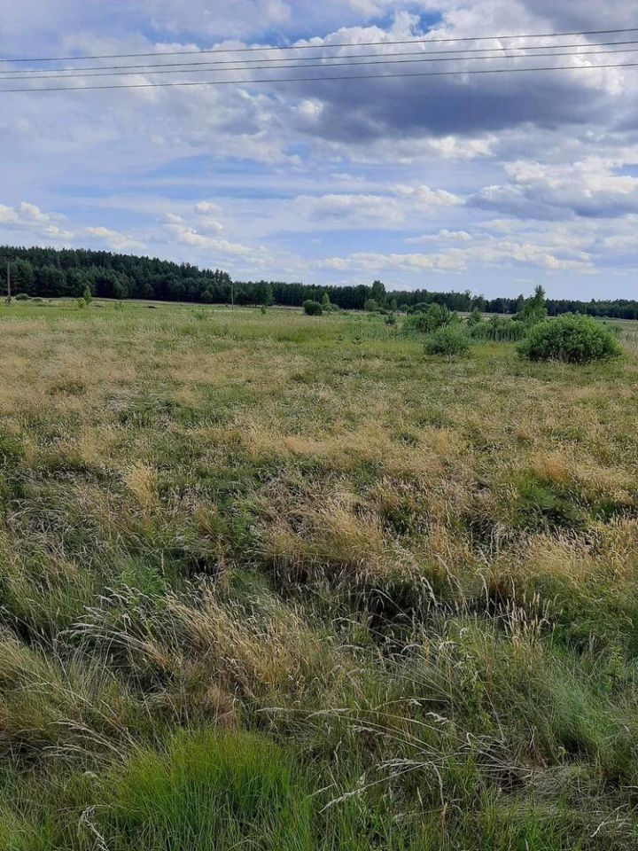 Działka rolno-budowlana Bąk. Zdjęcie 5