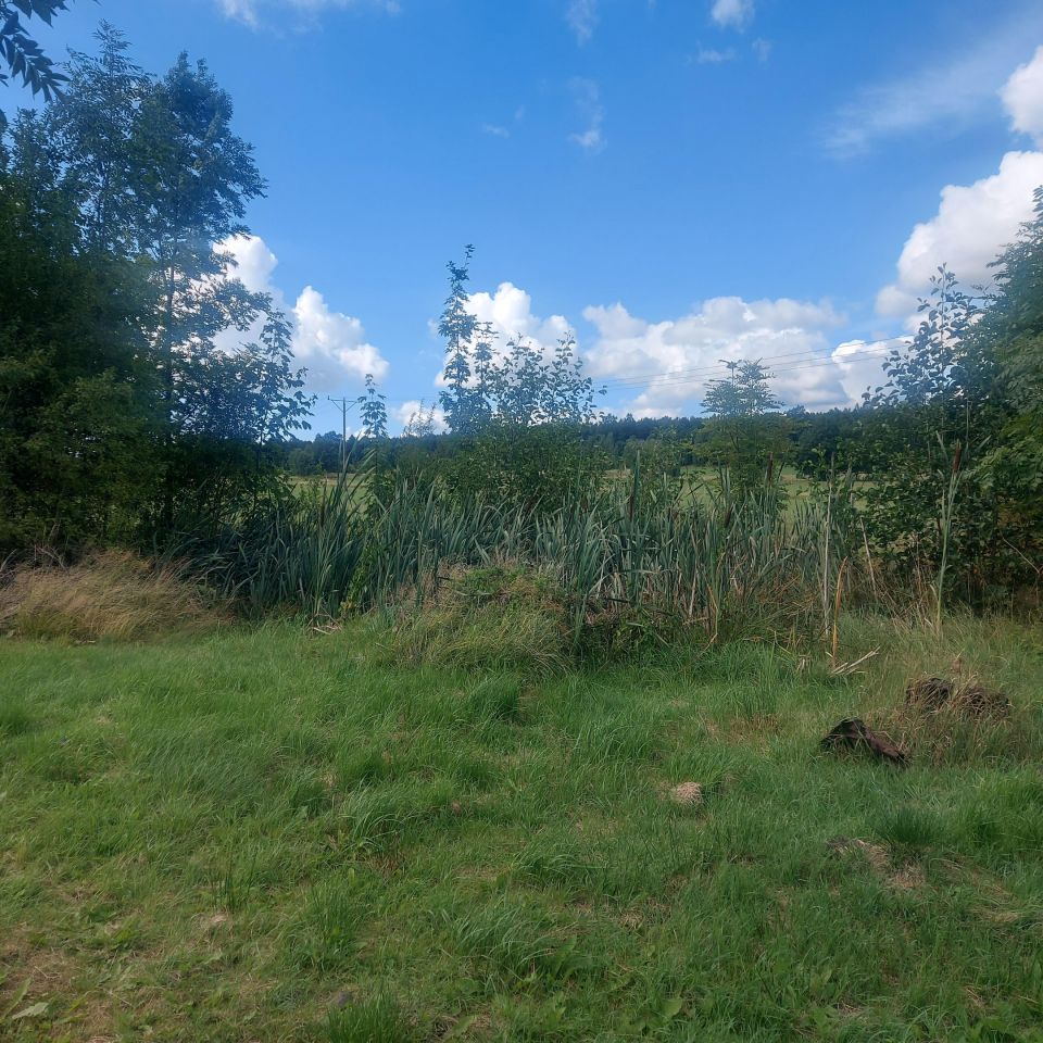 dom wolnostojący, 3 pokoje Proszowa. Zdjęcie 15