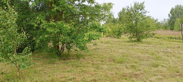 Działka budowlana Wólka Szczawińska. Zdjęcie 1