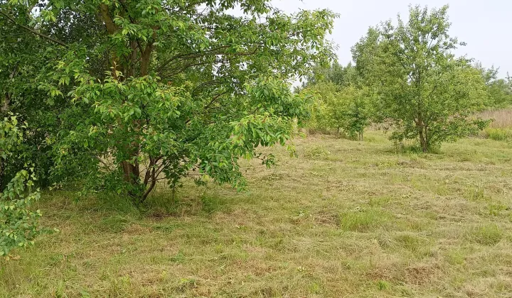 Działka budowlana Wólka Szczawińska