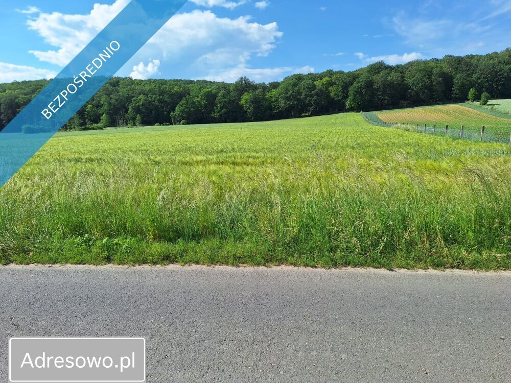 Działka rolno-budowlana Osiek nad Notecią. Zdjęcie 4