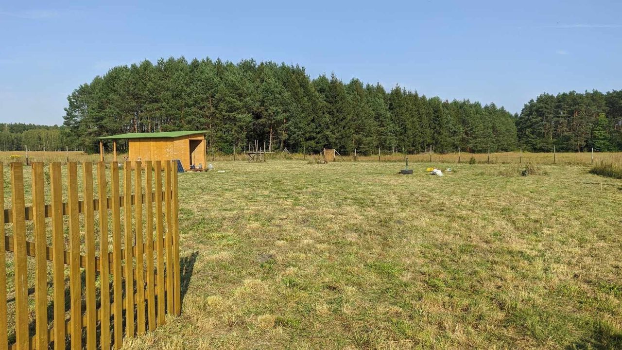 Działka rolno-budowlana Skwirynowo. Zdjęcie 8