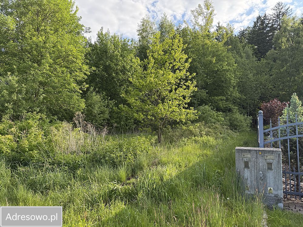 Działka budowlana Jelenia Góra, ul. Łomnicka