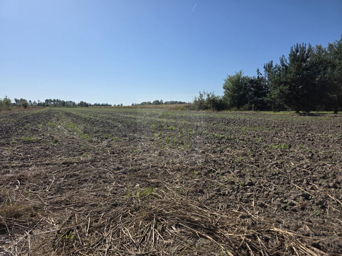 Działka budowlana Nowe Faszczyce. Zdjęcie 17