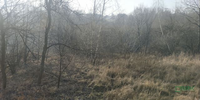 Działka inna Rybnik Niedobczyce, ul. Bolesława Śmiałego. Zdjęcie 4