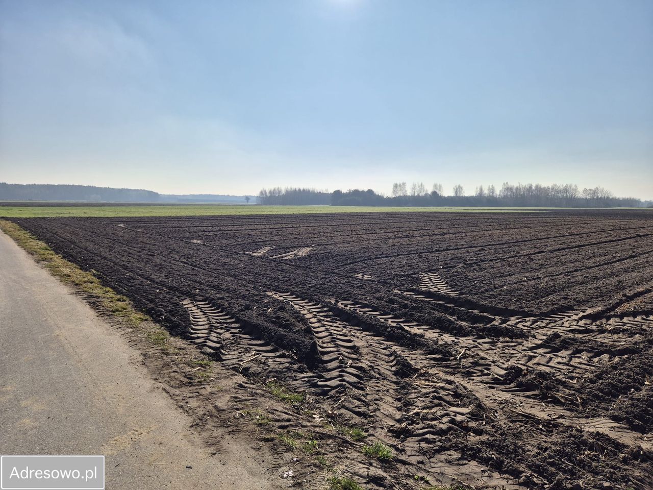 Działka rolno-budowlana Rawica Stara. Zdjęcie 7