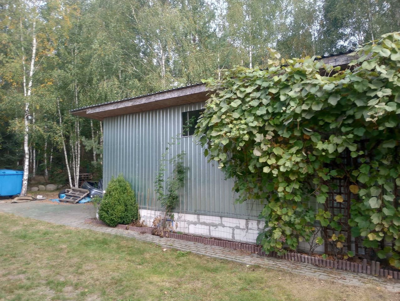 dom wolnostojący, 4 pokoje Chruśnice. Zdjęcie 7