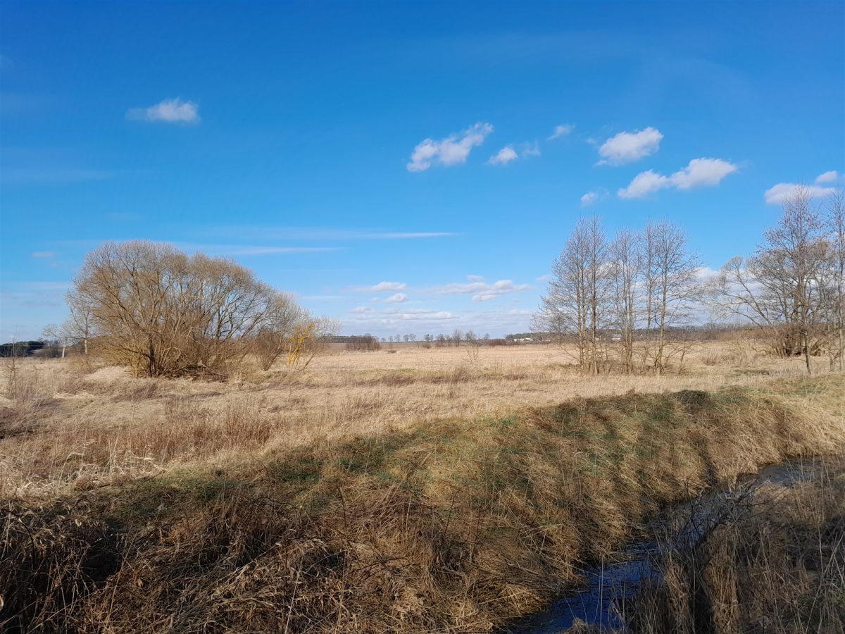 Działka budowlana Jerwonice. Zdjęcie 6