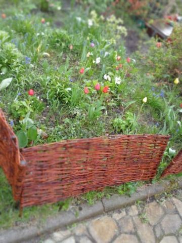 Działka rekreacyjna Gdańsk Piecki, ul. Wołkowyska. Zdjęcie 1