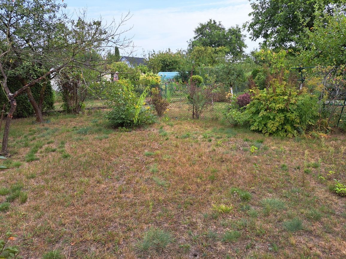 Działka rod Szczecin Gumieńce. Zdjęcie 2