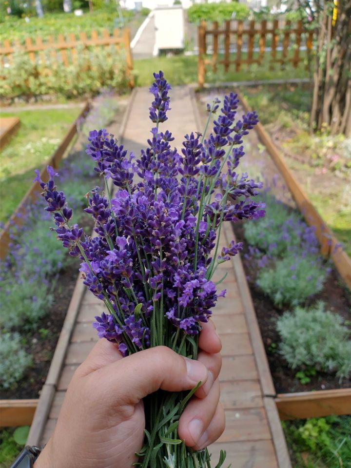 Działka rod Białystok Dojlidy. Zdjęcie 5