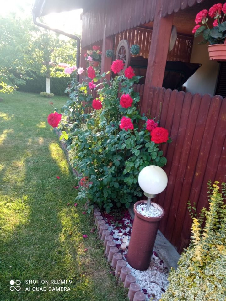 Działka rod Żory, ul. Okrężna. Zdjęcie 5