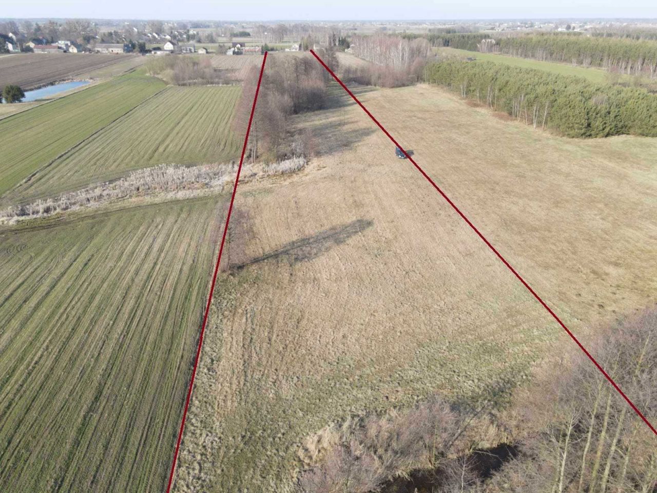 Działka rolna Przywitowo. Zdjęcie 1