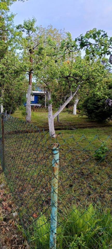 Działka rod Zielona Góra Centrum, ul. Działkowa. Zdjęcie 7