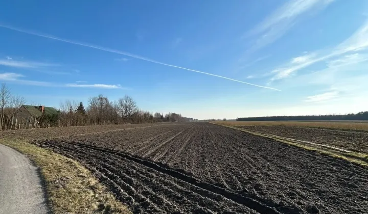 Działka rolno-budowlana Ignaców, Brak