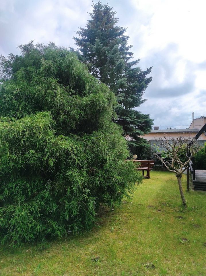 Działka rod Koszalin. Zdjęcie 4