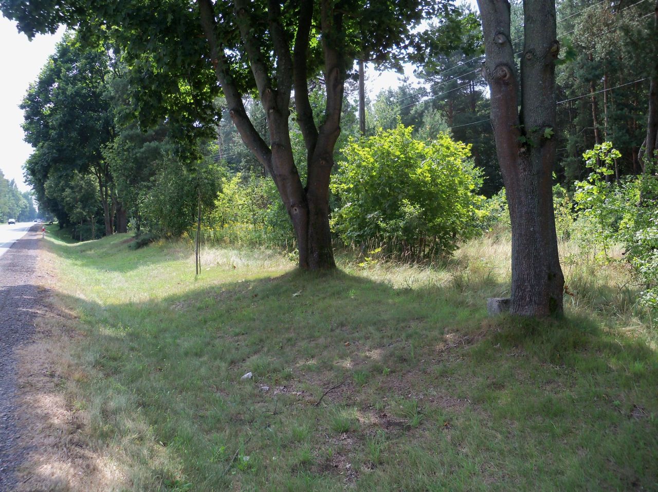 Działka inna Czersk, ul. Trakt K. Pułaskiego. Zdjęcie 2