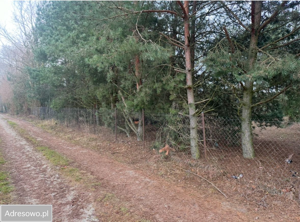 Działka budowlana Głuszynek. Zdjęcie 2