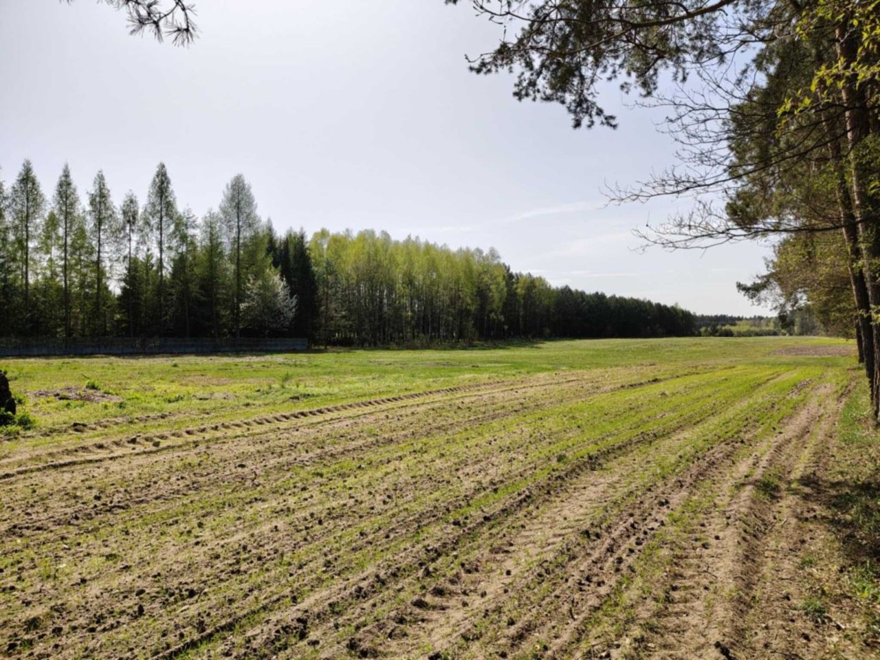 Działka budowlana Zalesna. Zdjęcie 3