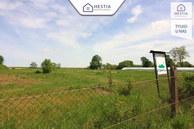 Hala/magazyn Kurcewo. Zdjęcie 5