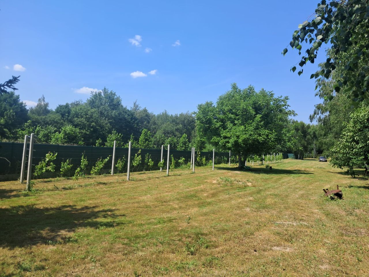 Działka rolno-budowlana Strojec, ul. Zacisze. Zdjęcie 7