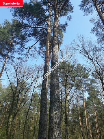 Działka Nadarzyn. Zdjęcie 1