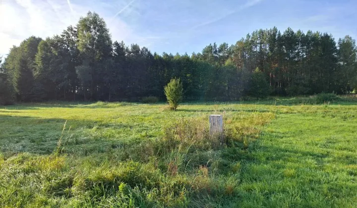 Działka Drawno