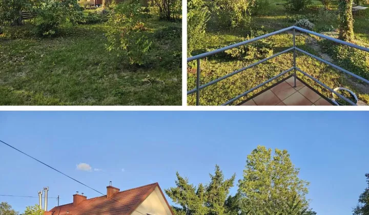 bliźniak Osiny