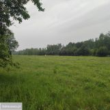 Działka budowlana Budy-Grzybek, ul. Potockiego. Zdjęcie 3