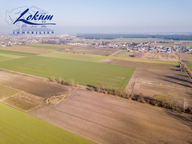 Działka siedliskowa Przybyszewo. Zdjęcie 2