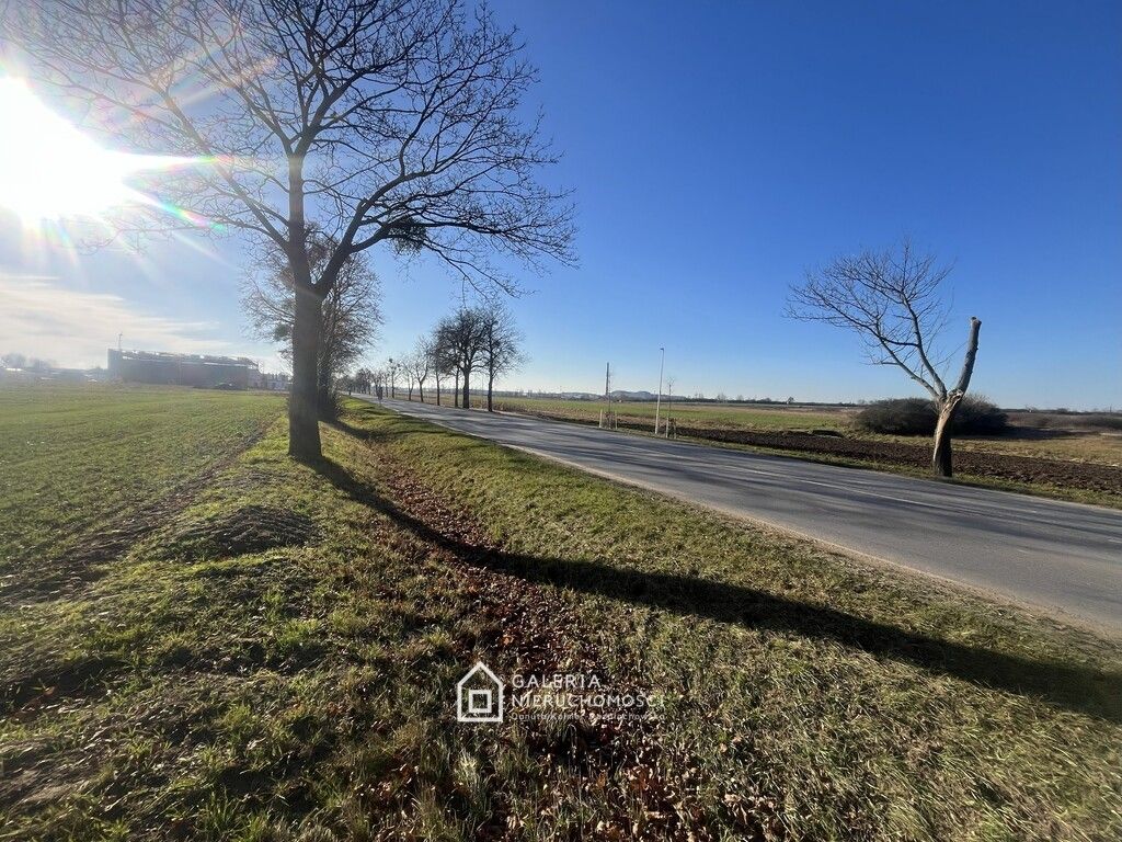 Działka inwestycyjna Bolechowo. Zdjęcie 7