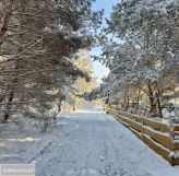 dom wolnostojący, 1 pokój Lutom. Zdjęcie 4