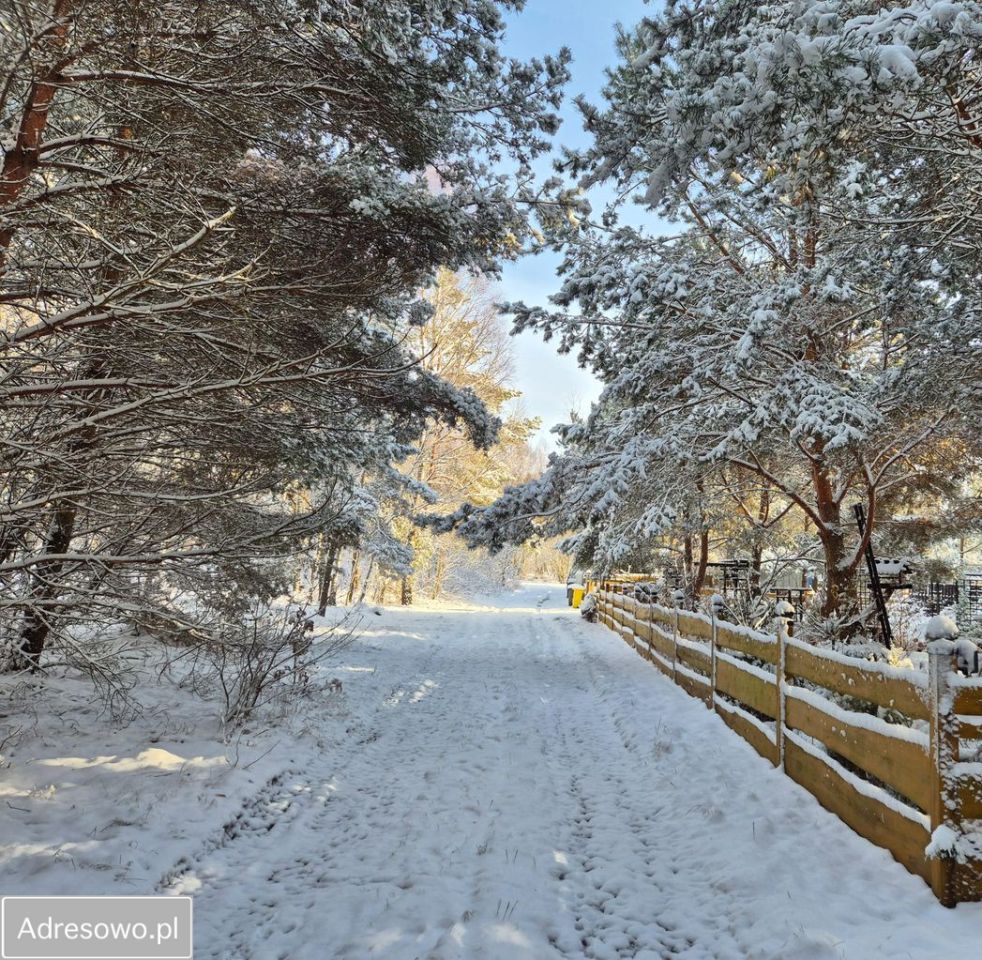 dom wolnostojący, 1 pokój Lutom. Zdjęcie 5