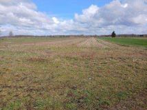 Działka inwestycyjna Jasiony. Zdjęcie 3