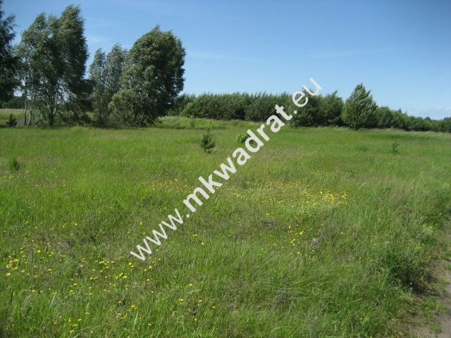 Działka rolna Grzegorzewice. Zdjęcie 4