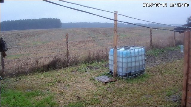 Działka rolna Jedlice Brzostowo. Zdjęcie 4