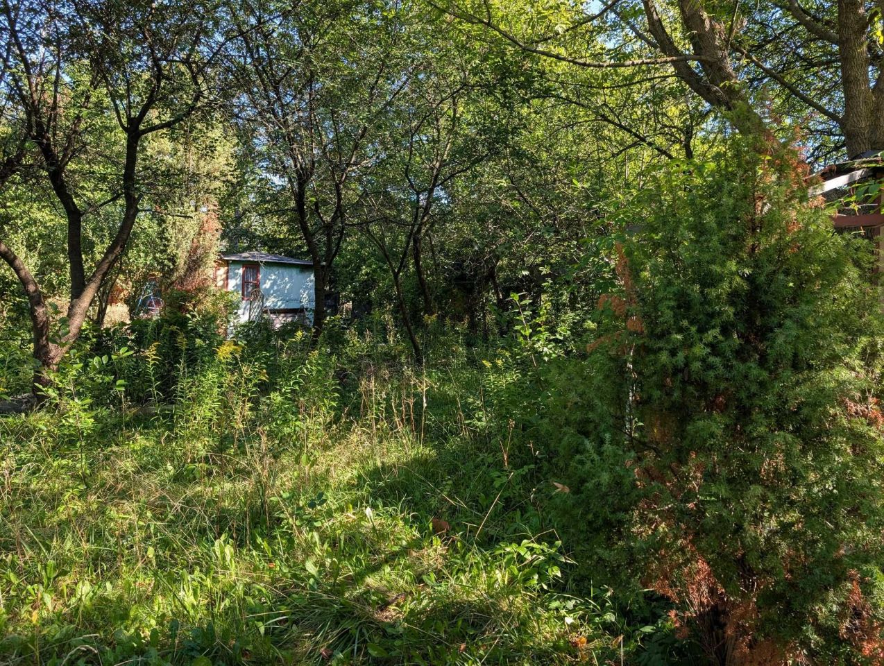 Działka rod Warszawa Mokotów. Zdjęcie 4