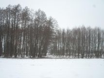 Działka rolno-budowlana Małe Łunawy. Zdjęcie 1