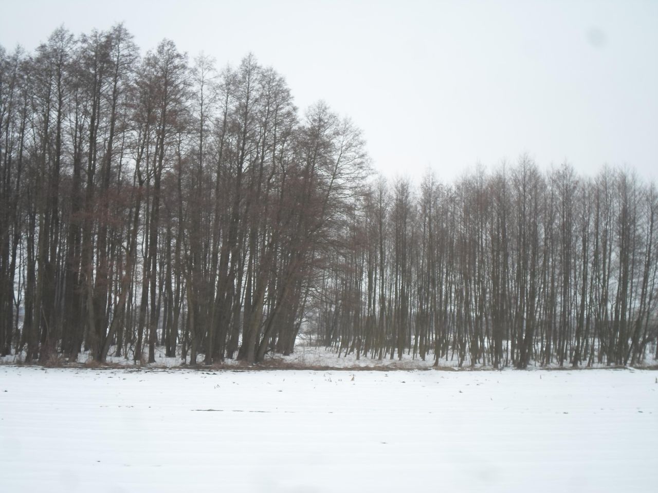 Zdjęcie 2