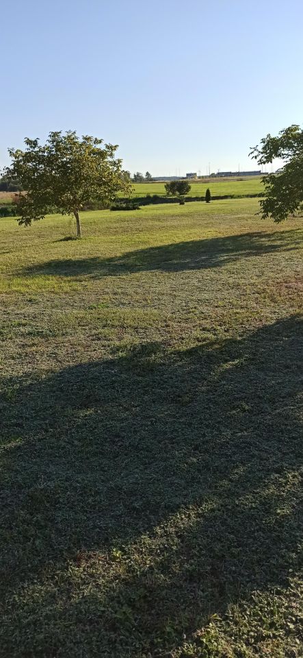 Działka rolna Czarnowo. Zdjęcie 5