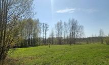 Działka siedliskowa Podbiel. Zdjęcie 4