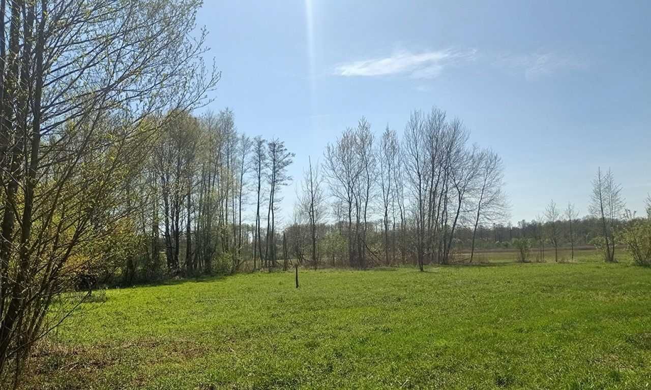 Działka siedliskowa Podbiel. Zdjęcie 5