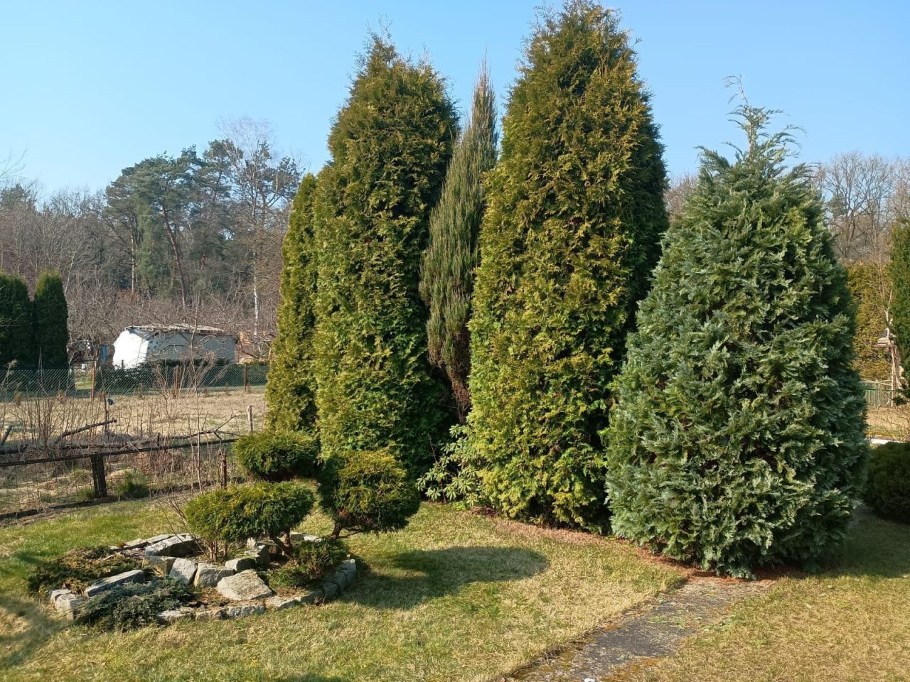 Działka rod Goleniów, ul. Wojska Polskiego. Zdjęcie 4