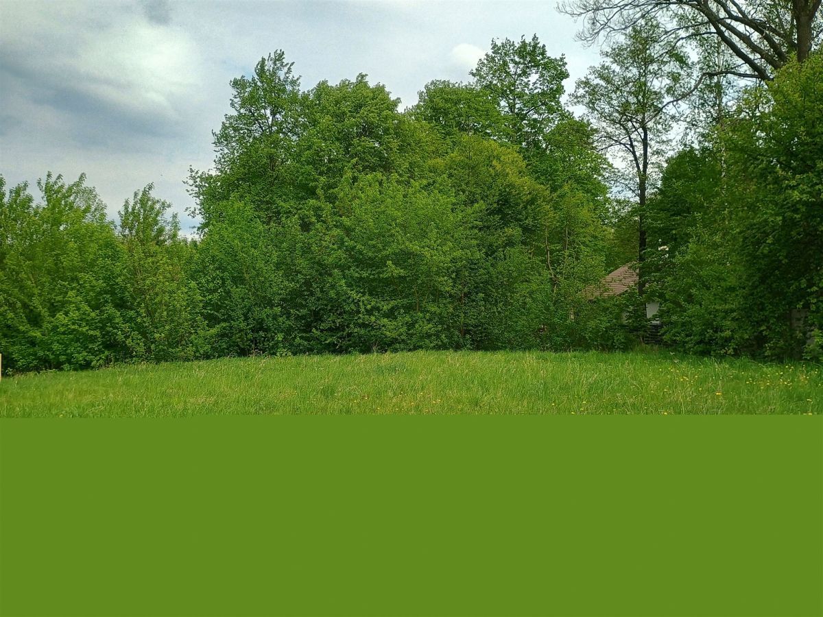 Działka inwestycyjna Konstantynów Łódzki Józefów. Zdjęcie 2