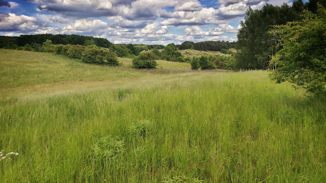 Działka rolna Łęgowo. Zdjęcie 7